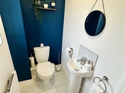 Picture 9